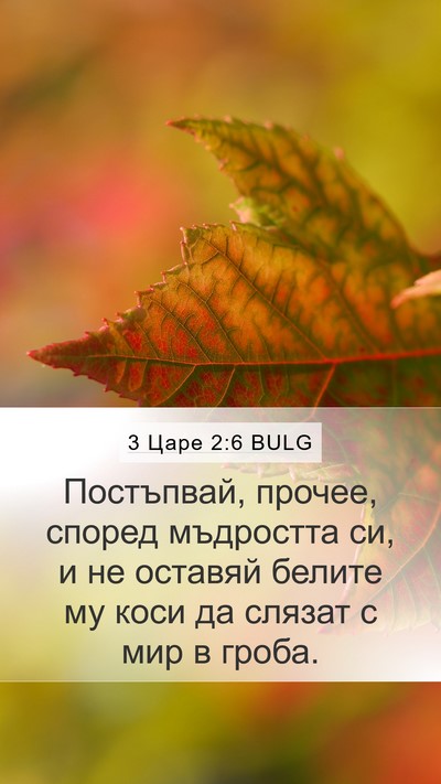 3 Царе 2:6 BULG Bible Verse Image