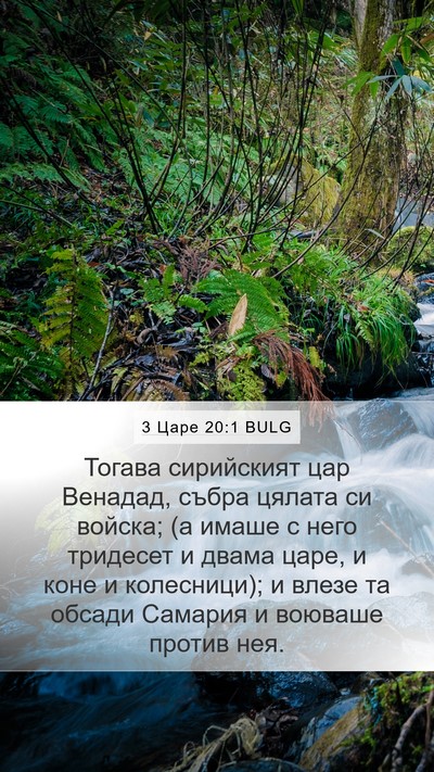 3 Царе 20:1 BULG Bible Verse Image