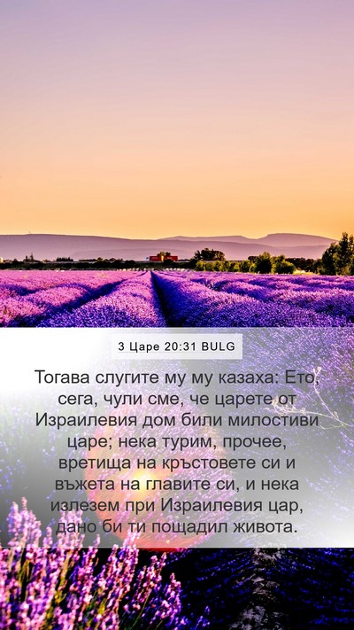 3 Царе 20:31 BULG Bible Verse Image