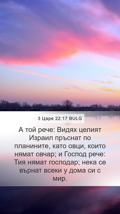 3 Царе 22:17 BULG Bible Verse Image