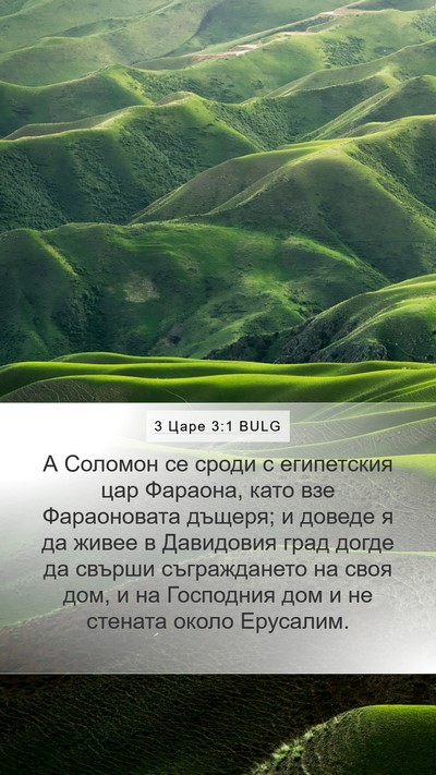 3 Царе 3:1 BULG Bible Verse Image