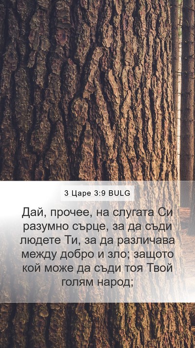 3 Царе 3:9 BULG Bible Verse Image