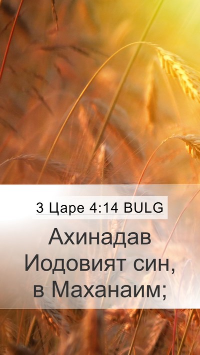 3 Царе 4:14 BULG Bible Verse Image