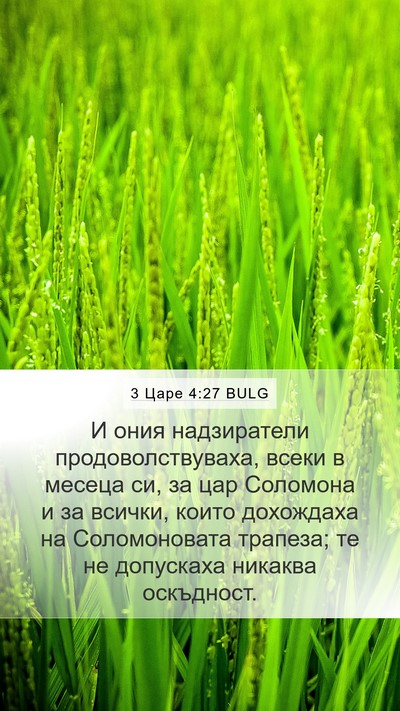 3 Царе 4:27 BULG Bible Verse Image