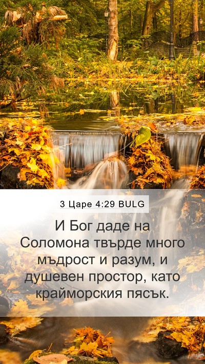 3 Царе 4:29 BULG Bible Verse Image