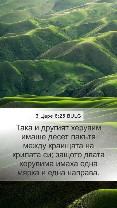 3 Царе 6:25 BULG Bible Verse Image