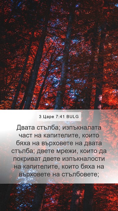 3 Царе 7:41 BULG Bible Verse Image