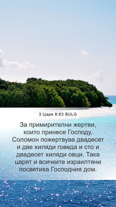 3 Царе 8:63 BULG Bible Verse Image
