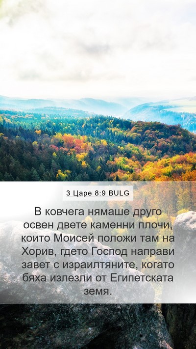 3 Царе 8:9 BULG Bible Verse Image