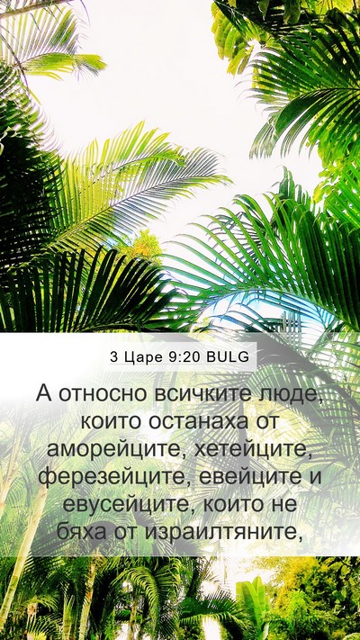 3 Царе 9:20 BULG Bible Verse Image