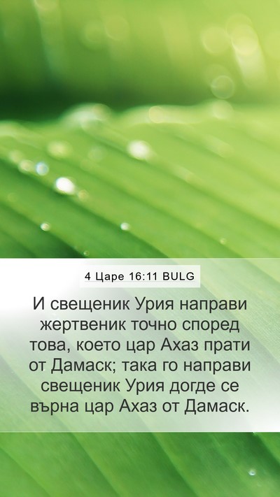 4 Царе 16:11 BULG Mobile Phone Wallpaper - И свещеник Урия направи - Mobile Bible Verse Wallpaper