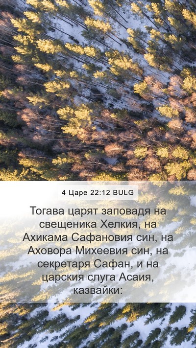 4 Царе 22:12 BULG Bible Verse Image