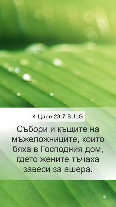 4 Царе 23:7 BULG Bible Verse Image
