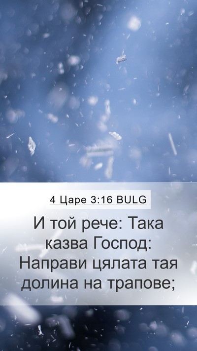 4 Царе 3:16 BULG Bible Verse Image