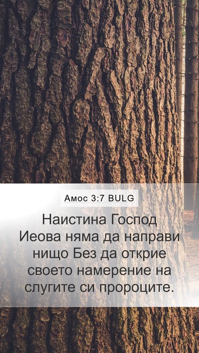 Амос 3:7 BULG Bible Verse Image