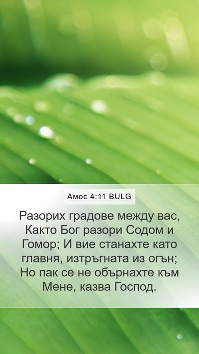 Амос 4:11 BULG Bible Verse Image