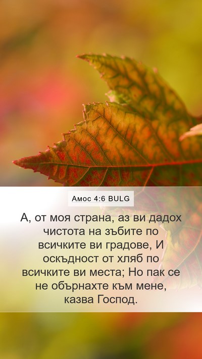 Амос 4:6 BULG Bible Verse Image