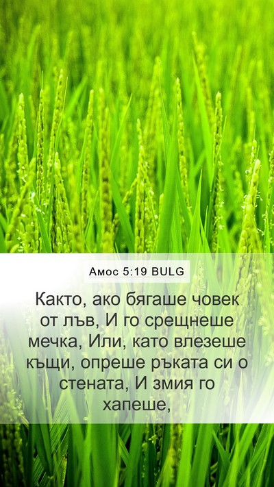 Амос 5:19 BULG Bible Verse Image