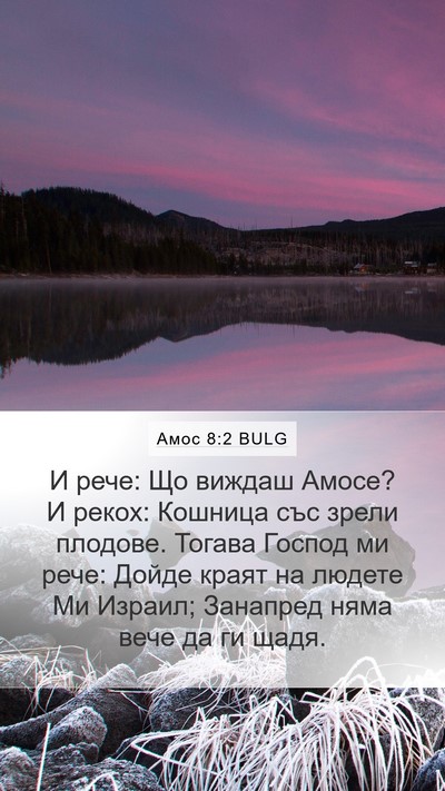 Амос 8:2 BULG Bible Verse Image