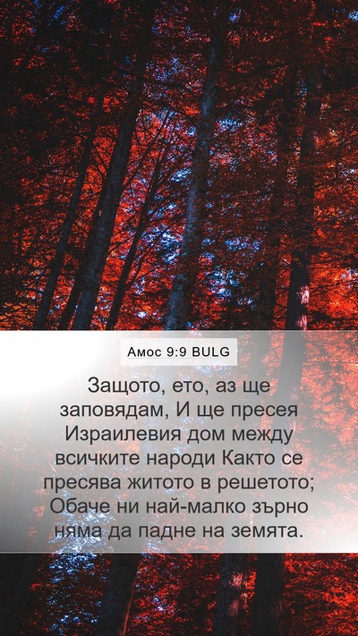 Амос 9:9 BULG Bible Verse Image