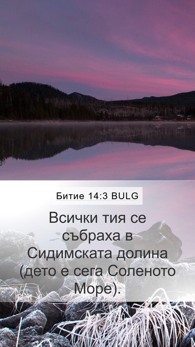 Битие 14:3 BULG Bible Verse Image