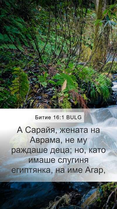 Битие 16:1 BULG Mobile Phone Wallpaper - А Сарайя, жената на Аврама, - Mobile Bible Verse Wallpaper
