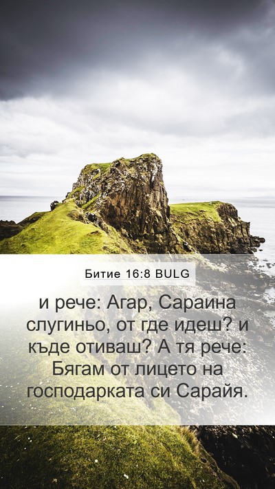 Битие 16:8 BULG Bible Verse Image