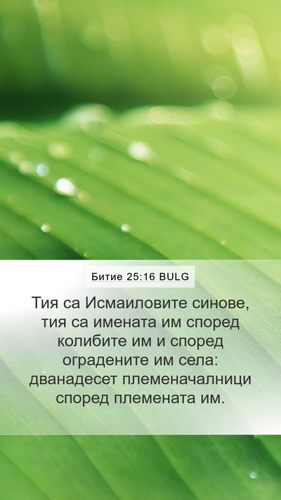 Битие 25:16 BULG Bible Verse Image