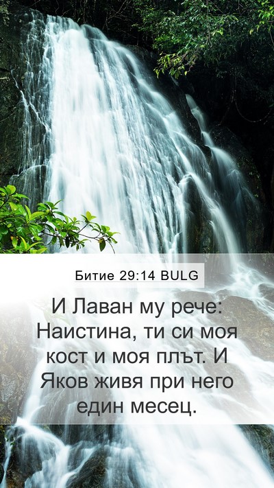 Битие 29:14 BULG Bible Verse Image