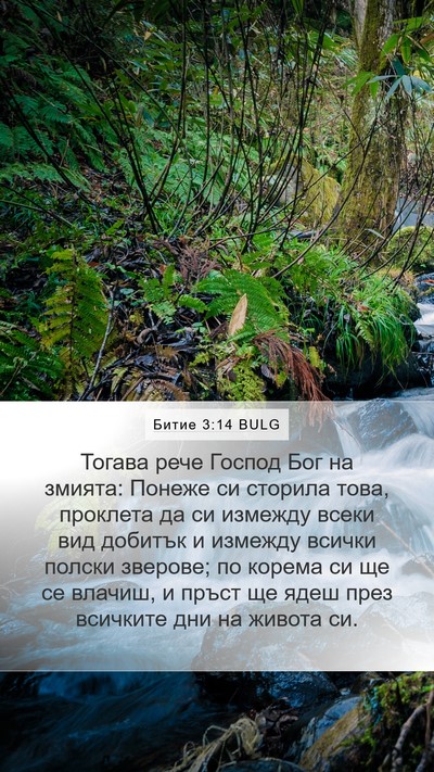 Битие 3:14 BULG Bible Verse Image