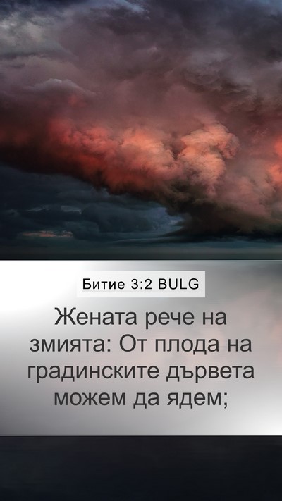 Битие 3:2 BULG Mobile Phone Wallpaper - Жената рече на змията: От - Mobile Bible Verse Wallpaper