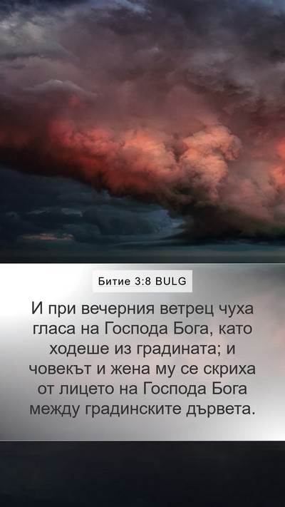 Битие 3:8 BULG Mobile Phone Wallpaper - И при вечерния ветрец чуха - Mobile Bible Verse Wallpaper