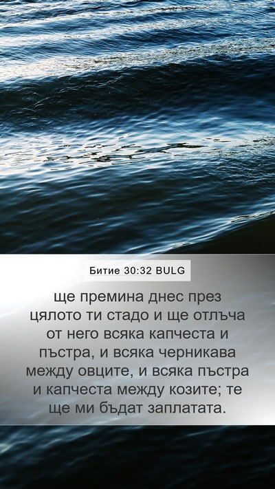 Битие 30:32 BULG Mobile Phone Wallpaper - ще премина днес през - Mobile Bible Verse Wallpaper