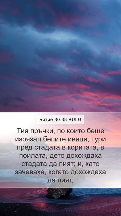 Битие 30:38 BULG Mobile Phone Wallpaper - Тия пръчки, по които беше - Mobile Bible Verse Wallpaper
