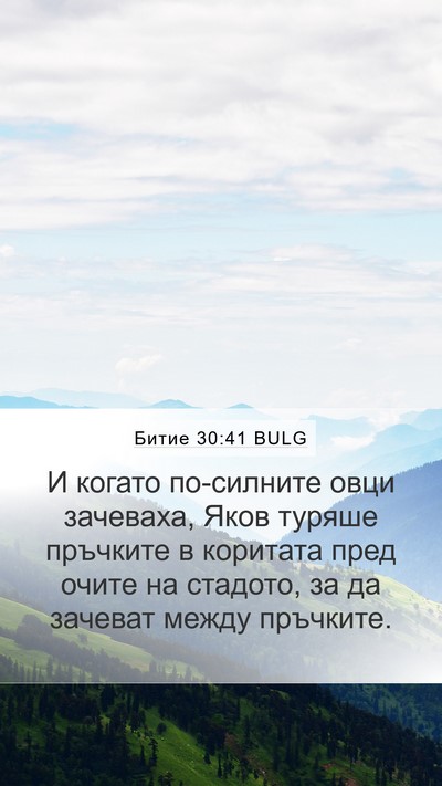 Битие 30:41 BULG Mobile Phone Wallpaper - И когато по-силните овци - Mobile Bible Verse Wallpaper