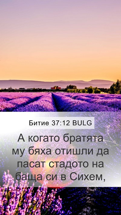 Битие 37:12 BULG Bible Verse Image