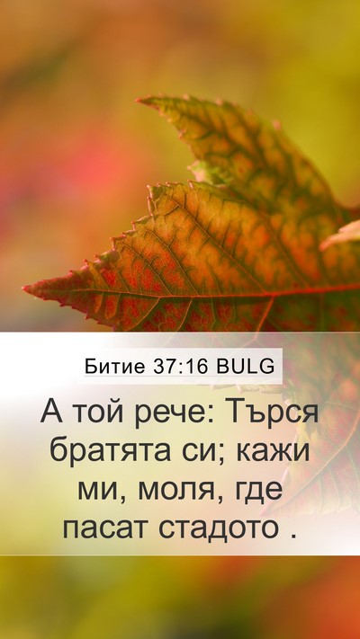 Битие 37:16 BULG Mobile Phone Wallpaper - А той рече: Търся братята - Mobile Bible Verse Wallpaper