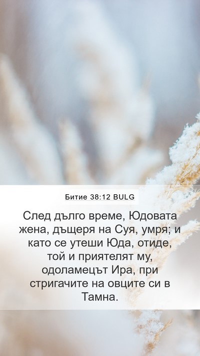 Битие 38:12 BULG Bible Verse Image