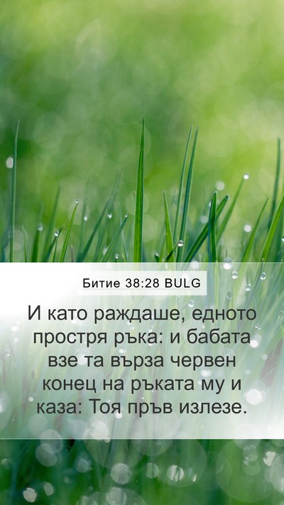 Битие 38:28 BULG Bible Verse Image