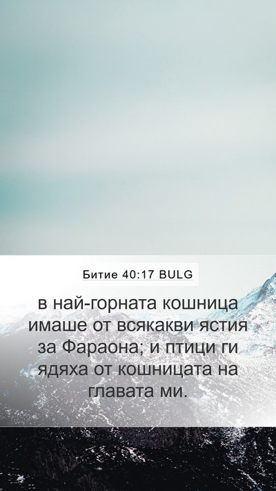 Битие 40:17 BULG Mobile Phone Wallpaper - в най-горната кошница - Mobile Bible Verse Wallpaper