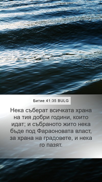 Битие 41:35 BULG Mobile Phone Wallpaper - Нека съберат всичката - Mobile Bible Verse Wallpaper