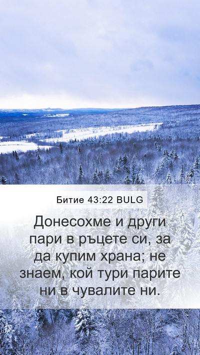 Битие 43:22 BULG Mobile Phone Wallpaper - Донесохме и други пари в - Mobile Bible Verse Wallpaper