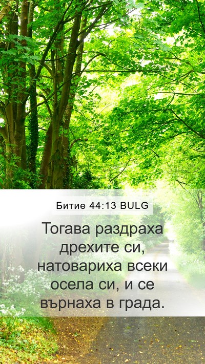 Битие 44:13 BULG Mobile Phone Wallpaper - Тогава раздраха дрехите - Mobile Bible Verse Wallpaper
