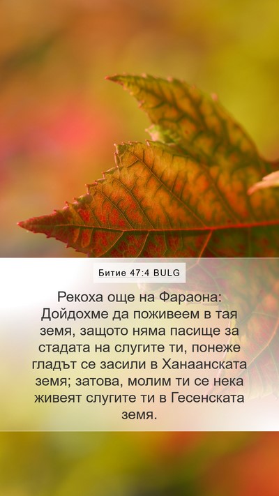 Битие 47:4 BULG Mobile Phone Wallpaper - Рекоха още на Фараона: - Mobile Bible Verse Wallpaper
