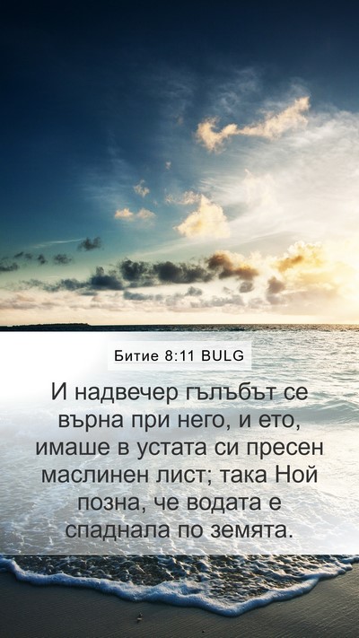 Битие 8:11 BULG Mobile Phone Wallpaper - И надвечер гълъбът се - Mobile Bible Verse Wallpaper