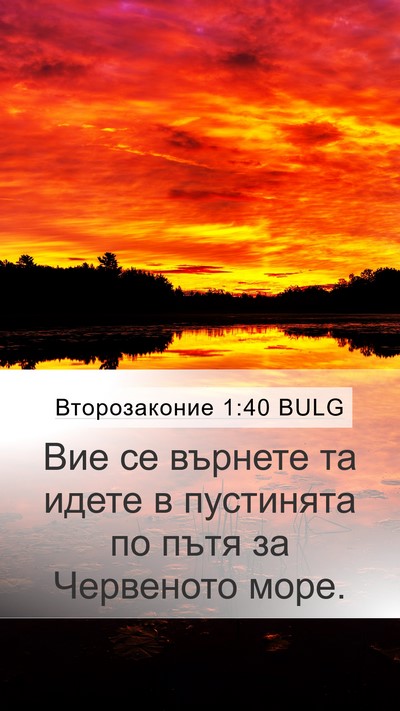 Второзаконие 1:40 BULG Bible Verse Image