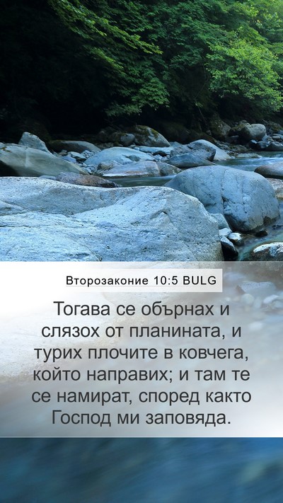 Второзаконие 10:5 BULG Bible Verse Image