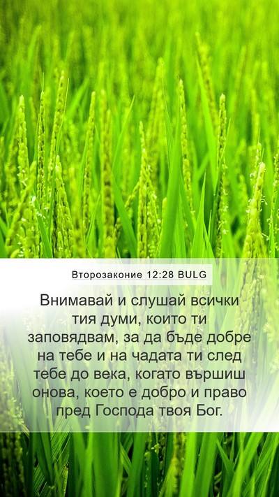 Второзаконие 12:28 BULG Bible Verse Image