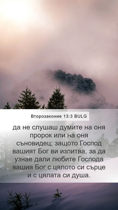 Второзаконие 13:3 BULG Bible Verse Image