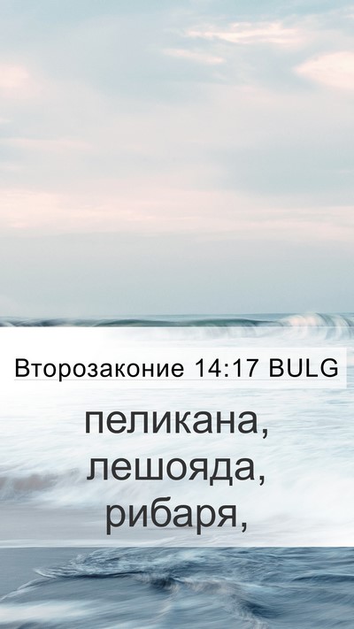 Второзаконие 14:17 BULG Mobile Phone Wallpaper - пеликана, лешояда, - Mobile Bible Verse Wallpaper